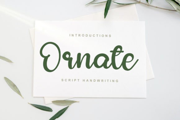 Ornate Typeface: A Designer’s Journey Through Branding