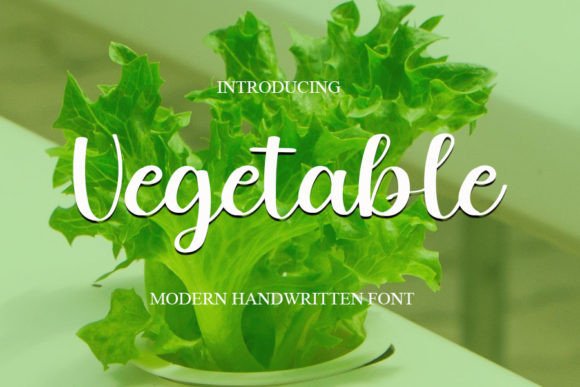 Vegetable Font: A Fresh, Modern Typeface for Your Brand
