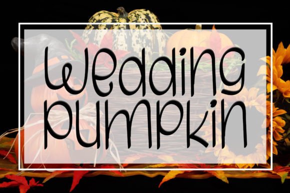 Wedding Pumpkin: A Script Font with Heart